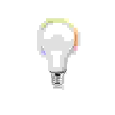 A19 Smart White Bulb