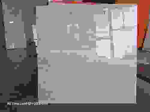 60x60cm Indian Premium Porcelain Tiles – Digital Glazed & Vitrified