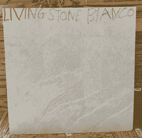 60x60 Premium Quality floor tile