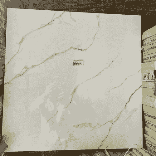 60x60 Premium Quality floor tile