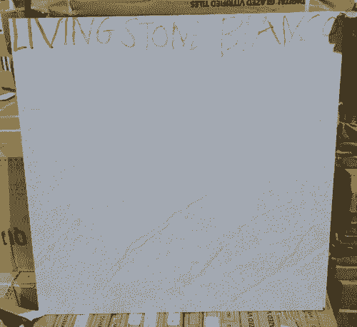 Living Stone Bianco - 60x60 Premium Quality floor tile