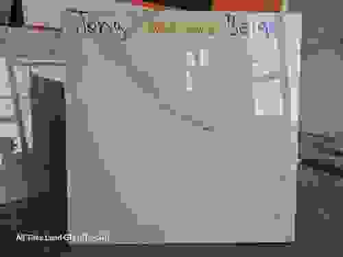 60x60cm Indian Premium Porcelain Tiles – Digital Glazed & Vitrified