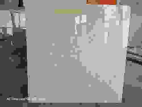 60x60cm Indian Premium Porcelain Tiles – Digital Glazed & Vitrified