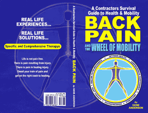 Back Pain and the Wheel of Mobility