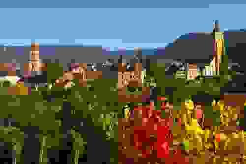 Pépites du Jura