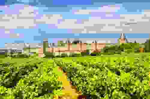 Languedoc-Roussillon