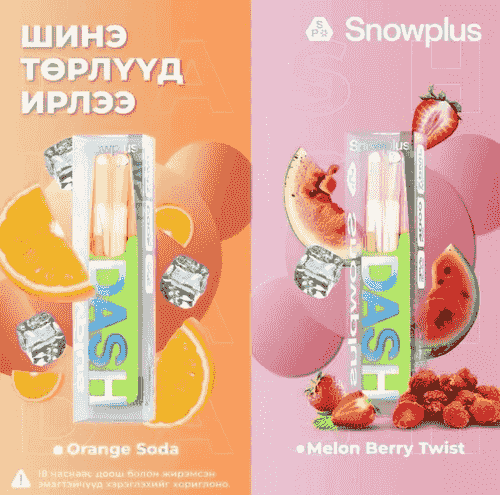 【Snowplus Dash】雪茄鸭嘴兽 4000口一次性/拋棄式-蒸汽樂園