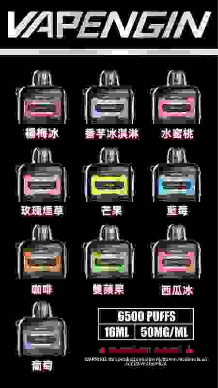 【VAPENGIN  系列】木星一次性/拋棄式電子煙 6500口 可充電-TW蒸汽樂園 