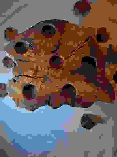 قطعة ديكور خشبية فريدة مصنوعة من قطعة خشب طبيعية واحدة، بتصميم عضوي غير منتظم يبرز عروق الخشب