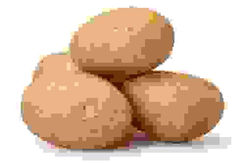 Fresh Potato