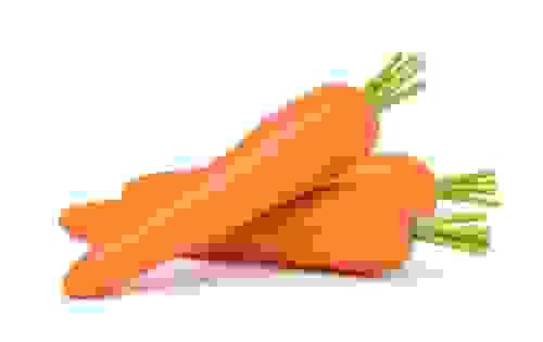 Fresh Carrot