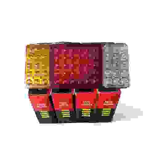 LED Tailight (24v)