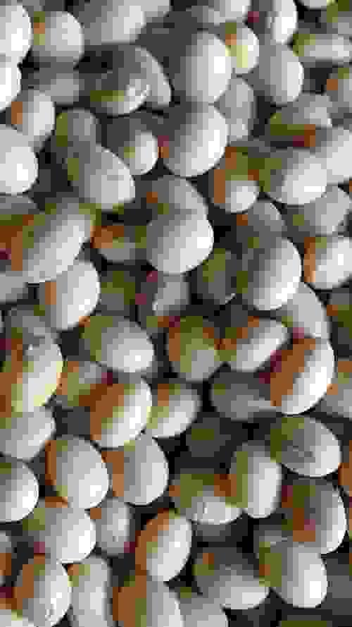 Soybean(favor)