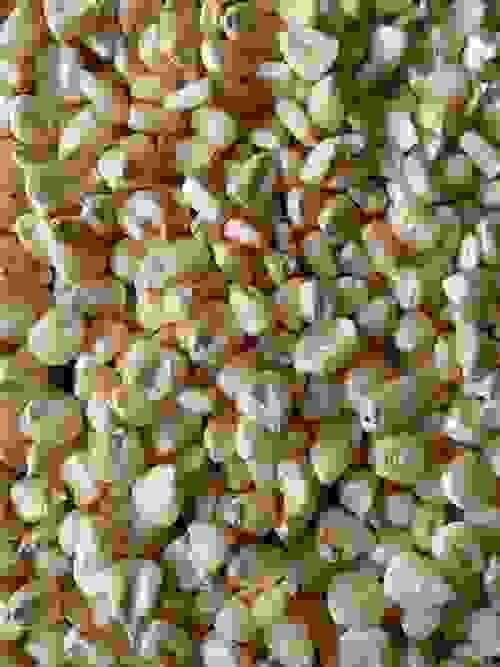Maize (SanzalSima)