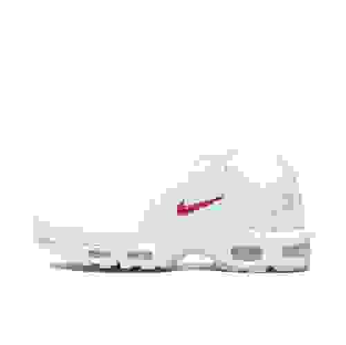 Nike Air Max Plus  Joint model  [7 Colorways]