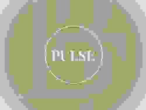 Formule Pulse - 310€ (5 séances d'1h)