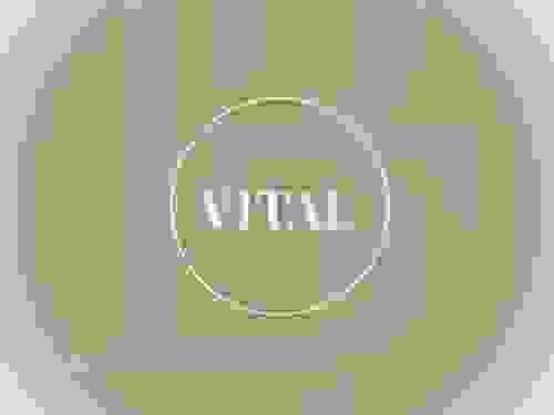 Formule Vital - 600€ (10 séances d'1h)