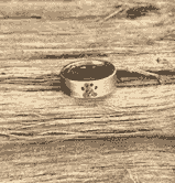 Cremains and Bello Titanium Ring