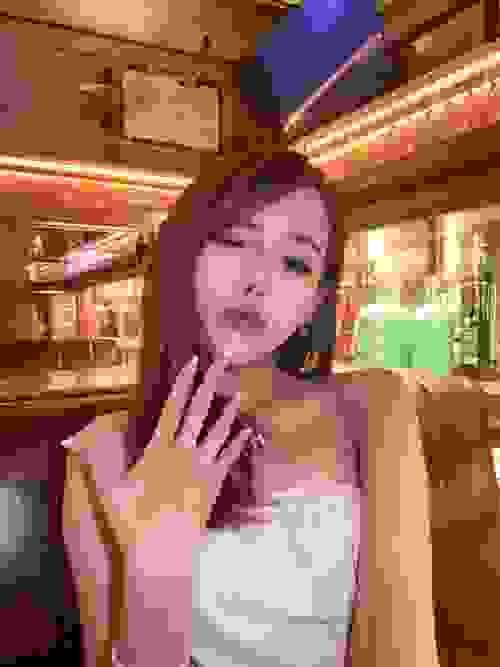 木槿花  河南 郑州