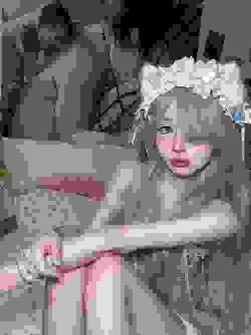 木槿花 江苏 常州