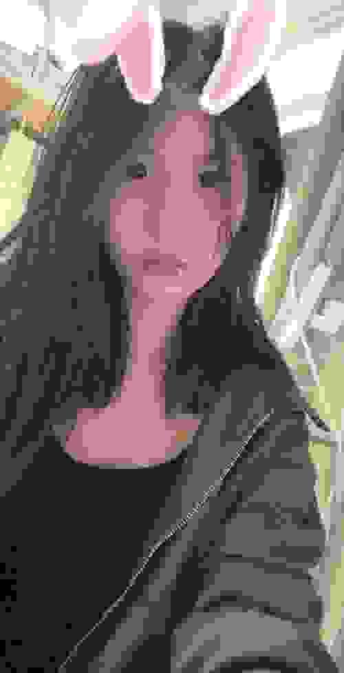 小小-jin-46 陕西  西安 Xx