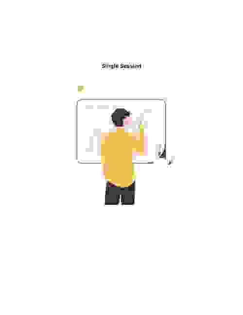 Single Session Package - Virtual