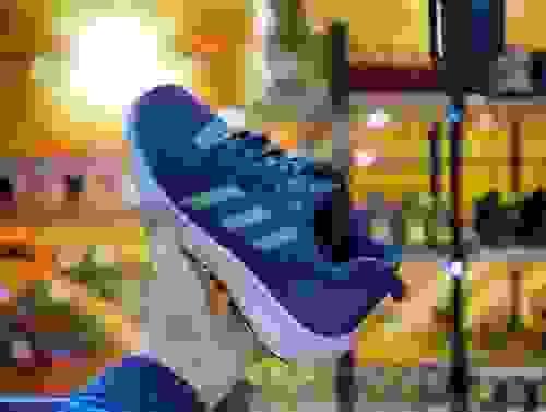 Coach Sport