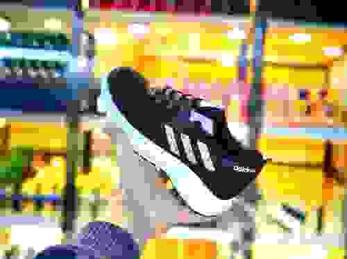Coach Sport