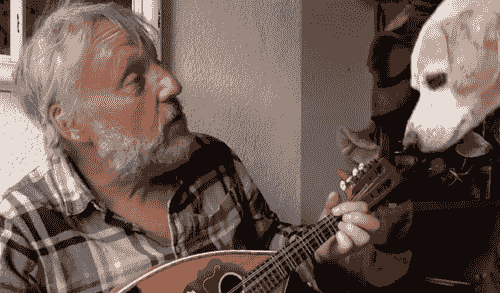 Little Beep Beeps - Babies and Shufflers | Tuesday 2 December | 10.30am