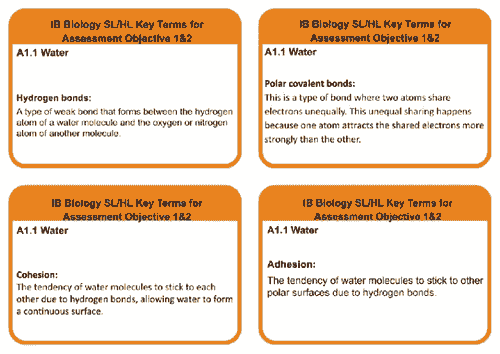 A1.1 BIOLOGY SL/HL WATER KEYTERMS