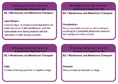 B2.1 SL/HL BIOLOGY MEMBRANE AND MEMBRANE TRANSPORT KEYTERMS