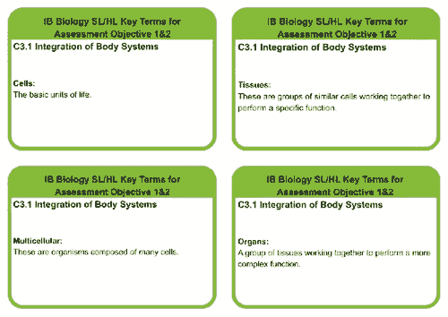 C3.1 BIOLOGY SL/HL INTEGRATION OF BODY SYSTEMS KEYTERMS