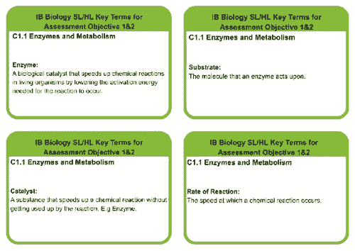 C1.1 SL/HL BIOLOGY ENZYMES AND METABOLISM KEYTERMS
