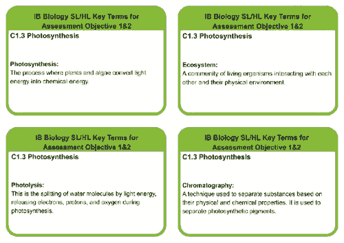 C1.3 SL/HL BIOLOGY PHOTOSYNTHESIS KEYTERMS