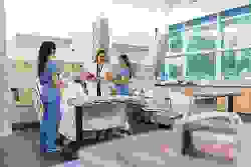 Nurse Mentorship