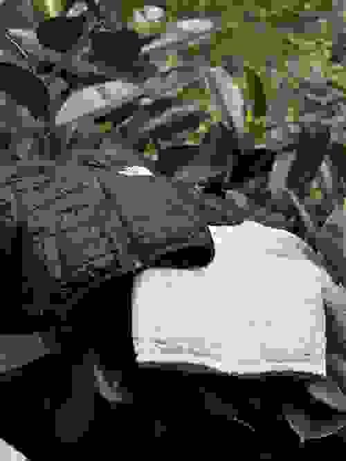 TNF 防水防污棉服 填充200克棉 高克重可做內膽可單穿