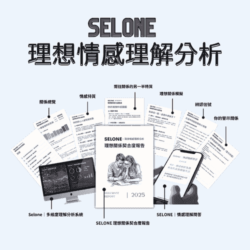 SELONE 理想情感理解分析