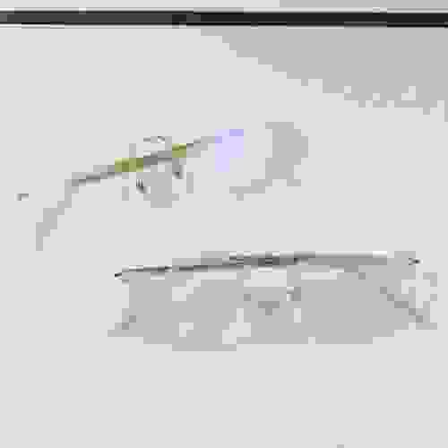 林德伯格2494