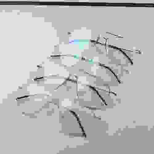 林德伯格5507