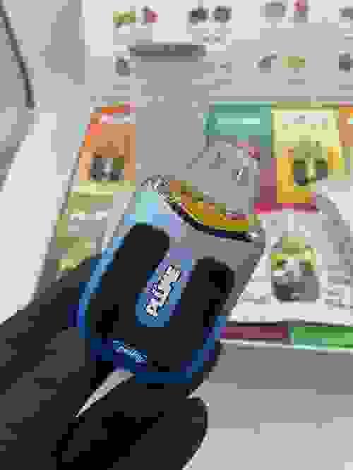 Plume Disposable 2g