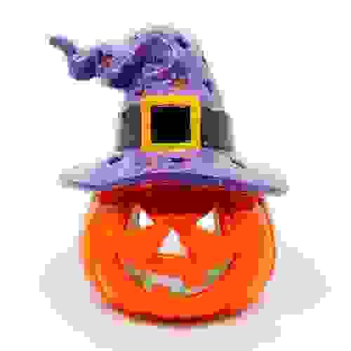 Jack-o-Lantern Witch