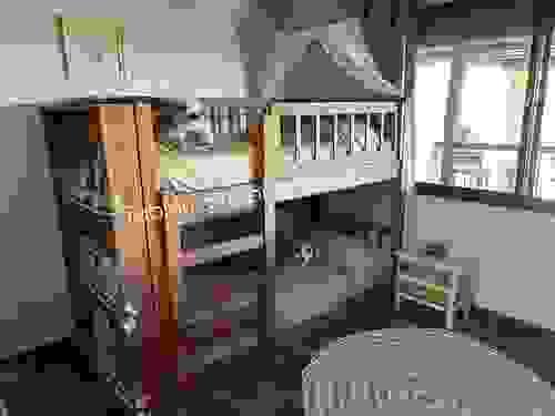 Consultanos por tu diseño personalizado