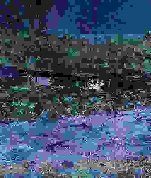River Bank