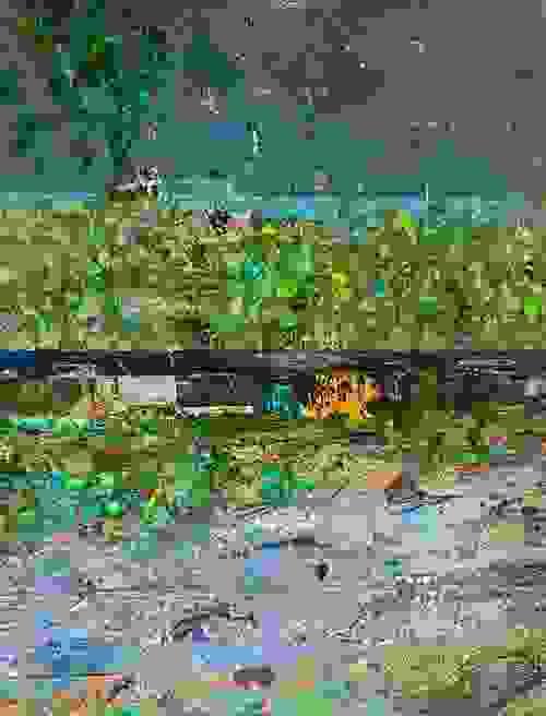 River Bank II