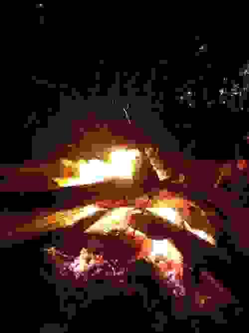 21/6/26 6pm Summer Solstice Forest Bathing Experience