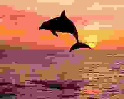 5 unforgettable hours abroad!