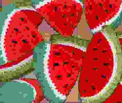 Watermelon stuffie