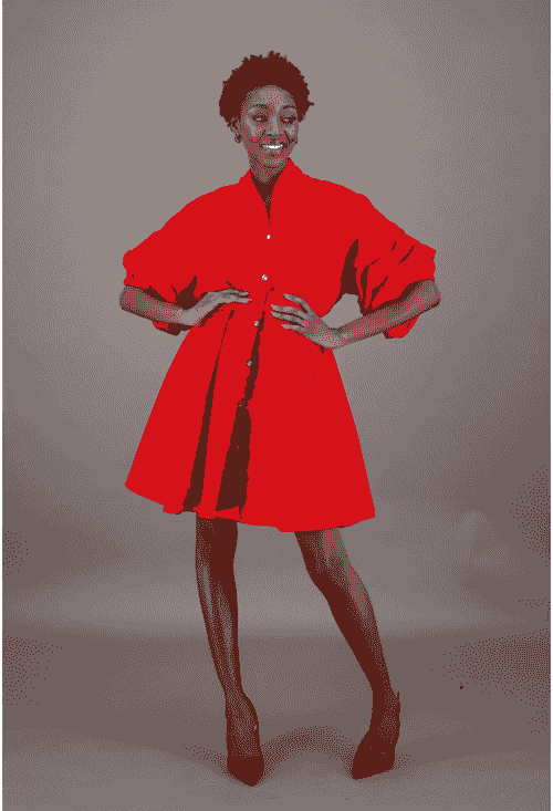 Short Swing Dress - Red