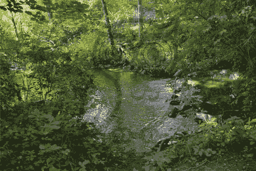 very small stream leading to a body of water in solid ground in a hiking trail