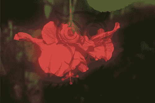 withering red flower